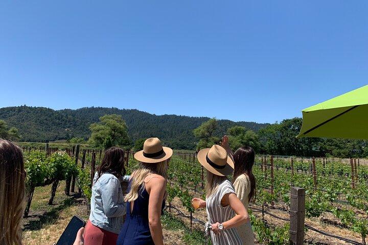 Napa Wine Tour: SUV Up To 6 Guests