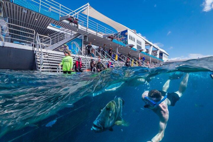 Snorkel & Dive the Reef: Sustainable, Scientific & Cultural Tour