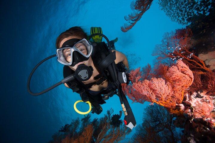 Diving experience for beginners in San Andres