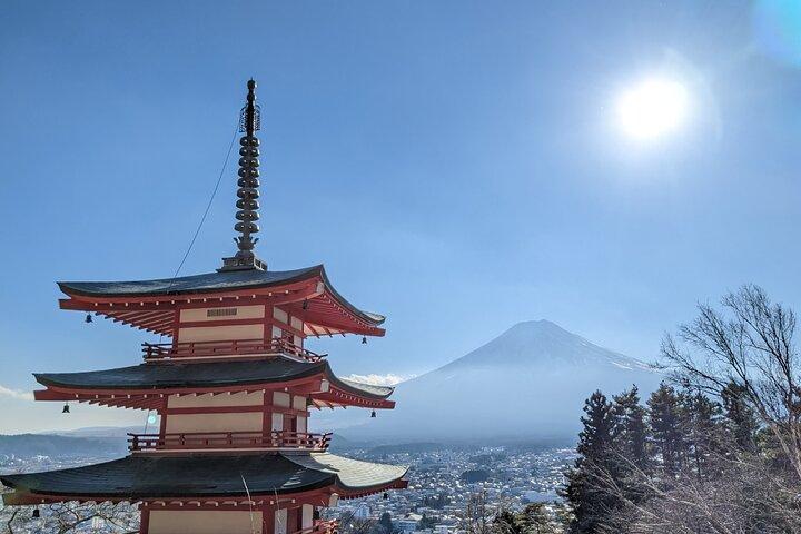 Private Day Tour from Tokyo: Customized Mount Fuji Highlights