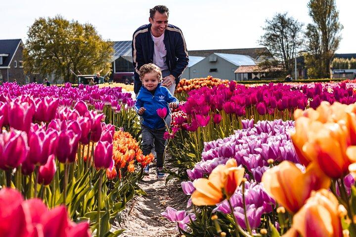 Keukenhof Gardens & Tulip Experience Guided Tour from Amsterdam