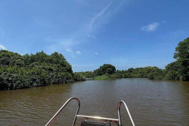 Muthurajawela / Negombo Lagoon Boat Ride 