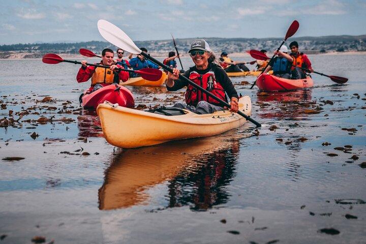 Monterey Bay Full-Day Kayak Rental: Otters, Seals and Sea Lions