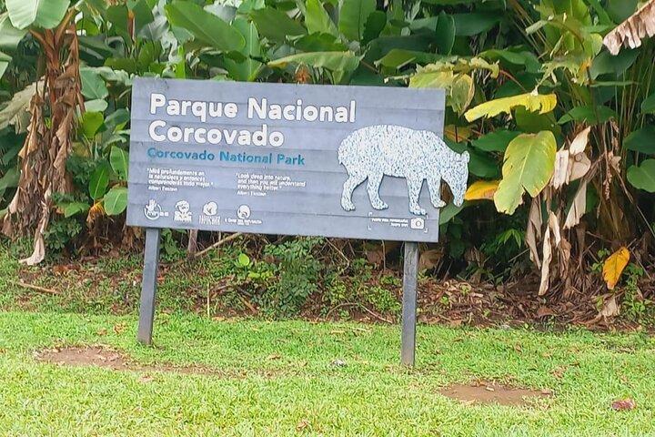 Tour in Corcovado National Park San Pedrillo Station