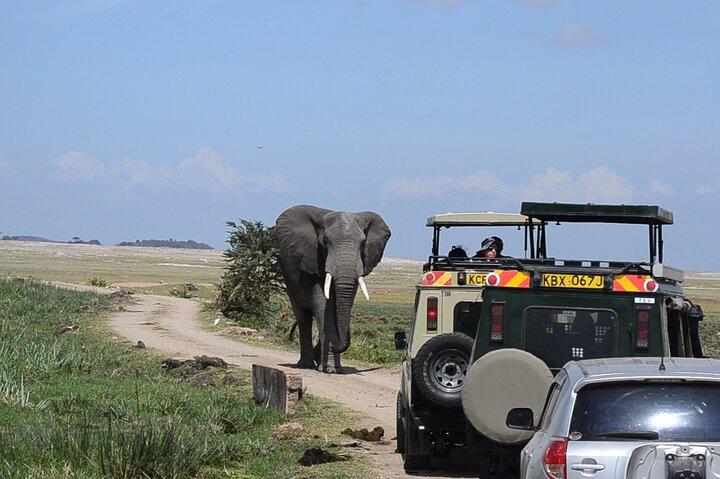  2-Day Amboseli Safari Witness Wildlife & Mt Kilimanjaro View 