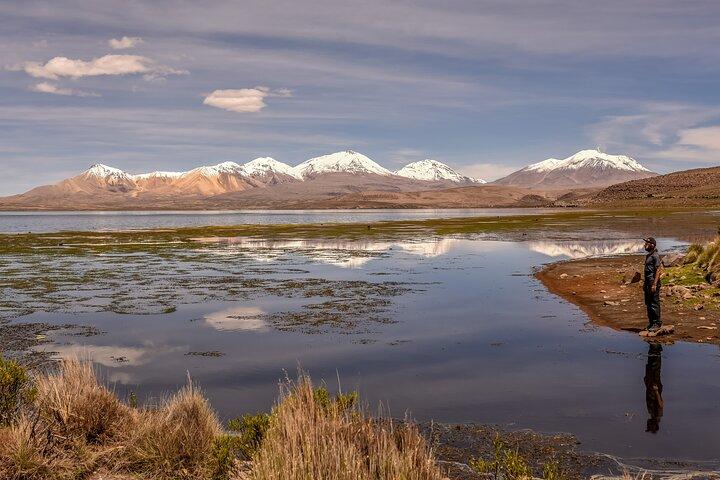 Altiplano 3D 2N Arica Putre Salar de Surire Lake Chungara Arica