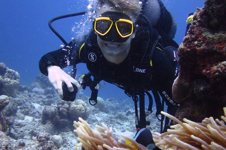 Discover Scuba Diving Experience- Bel Ombre 