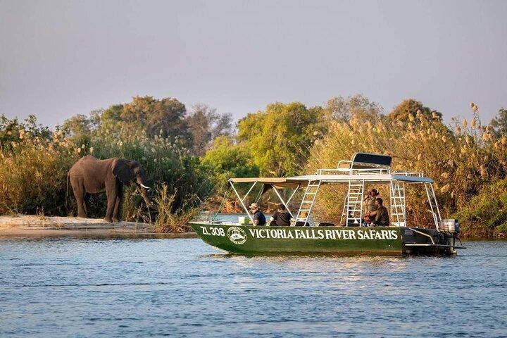  Zambezi River Safari 