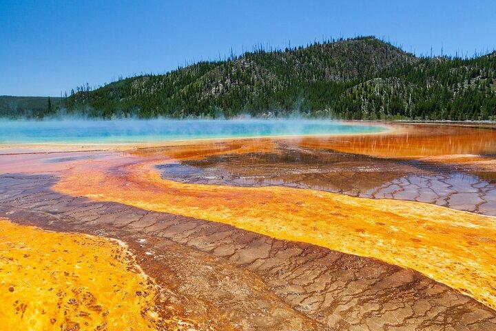 Full Day Yellowstone Nat'l Park Tour from Big Sky - Private Tour