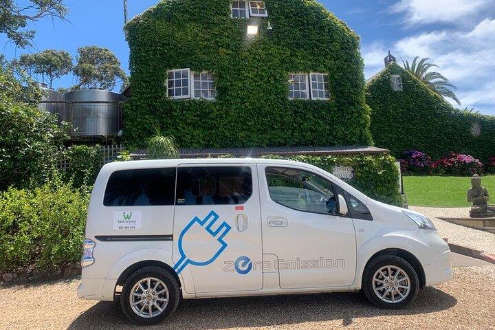 1.5h Waiheke Guided Scenic Tour in our Electric Van