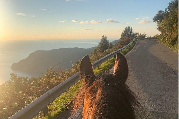 Horse ride on the coast of Monterosso al Mare Cinque Terre