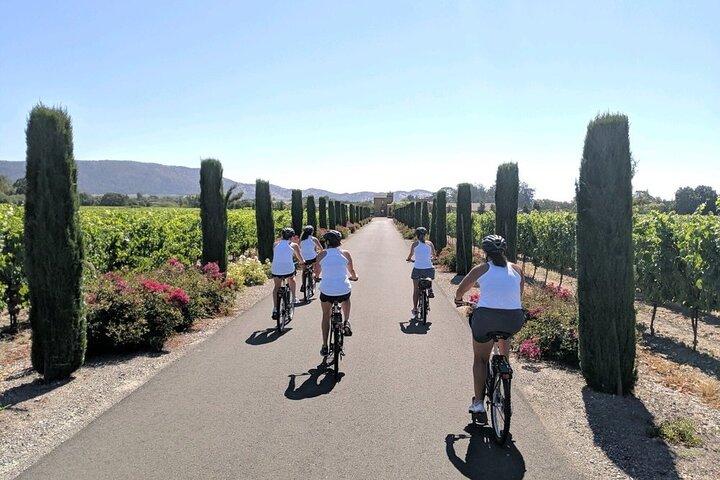 Sonoma Valley Bike and Wine Ebike Tour