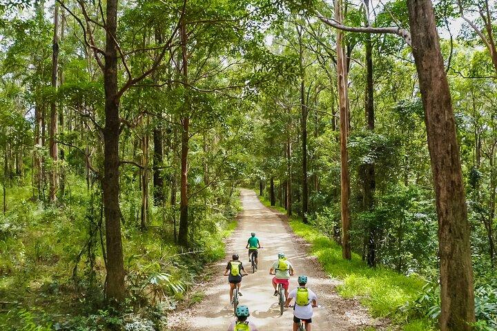 Self Guided E Bike Tour - Unicorn Falls, Rainforest & Rail Trail