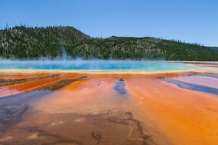 Best Of Yellowstone Full Day Nat'l Park Tour From Bozeman