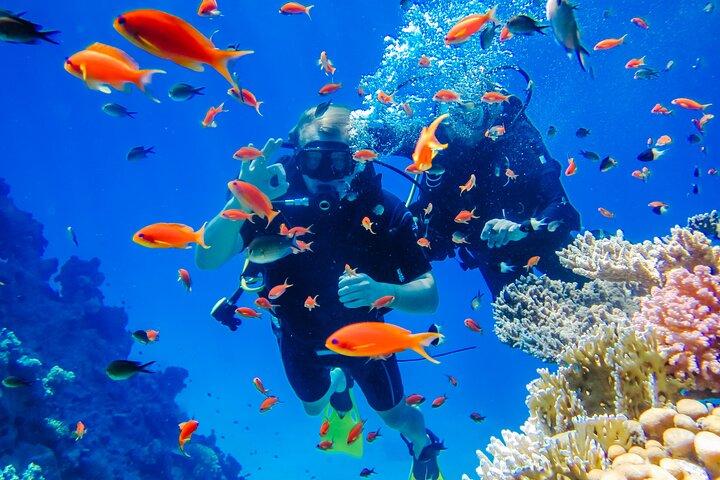 Exciteful Scuba Diving Experience in Antalya