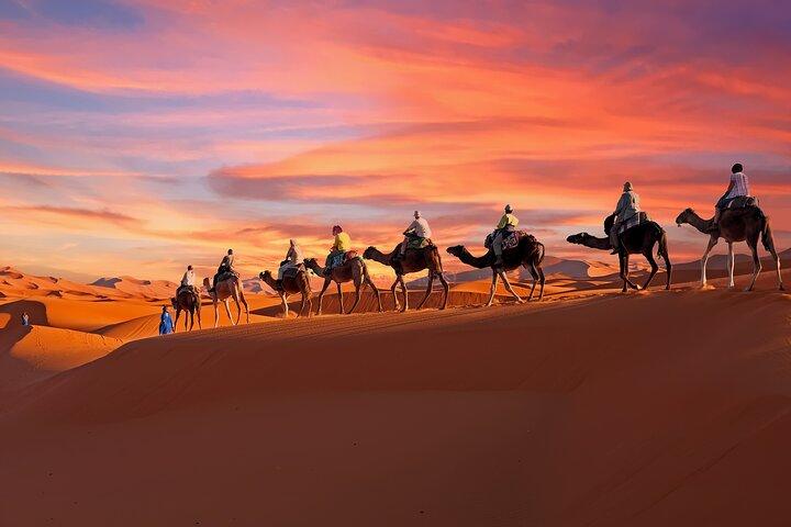 2-Day Tunisia Sahara Desert Camel Trek from Douz