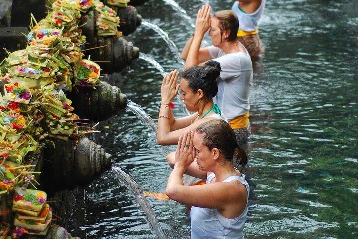 Ubud Tour - Balinese Healing By Shaman And Self Purification 