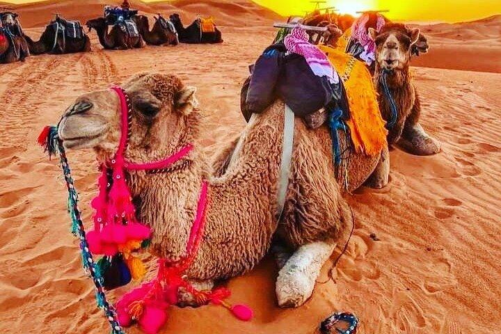 3 days group tour from Marrakech to Merzouga desert