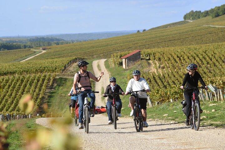 Private e-bike tour with a guide in the Vineyards of Chablis