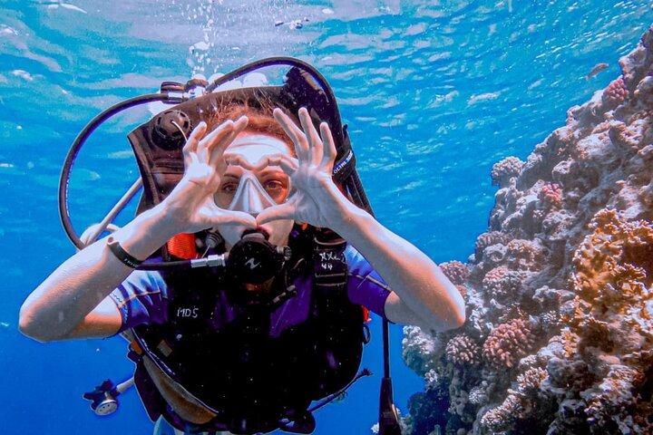 Discover Scuba Diving Sharm El Sheikh