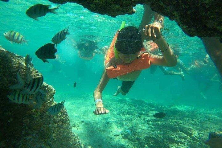 Snorkeling in Isla Mujeres and Underwater Museum