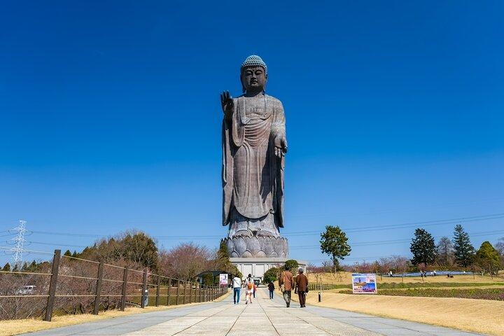 The Tallest Great Buddha Spot Walking Tour