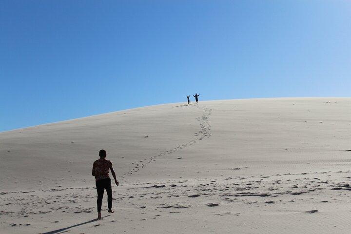 Discover the unusual sites of Dakhla in a 4x4 with a local guide
