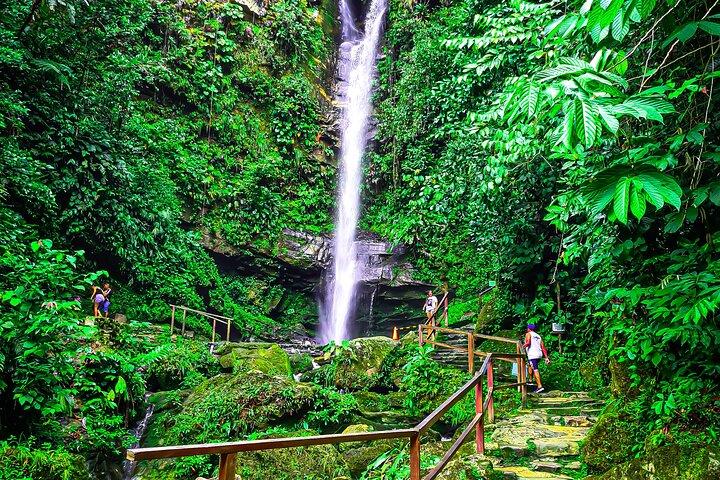 Ahuashiyacu Waterfall Half Day Tour