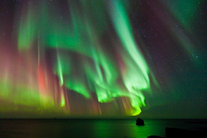 #1 Northern Lights Tour In Iceland from Reykjavik with PRO photos