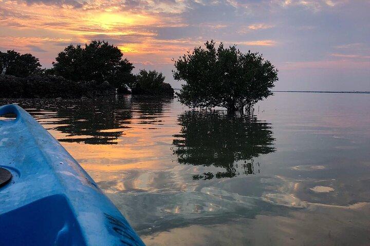 3-Hour Kayaking Eco Adventure - Mangrove Purple Island 