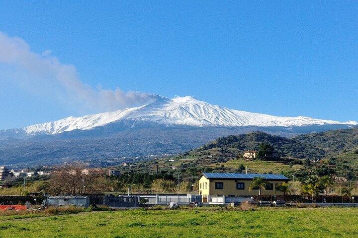 Private Tour to Etna and Taormina from Messina