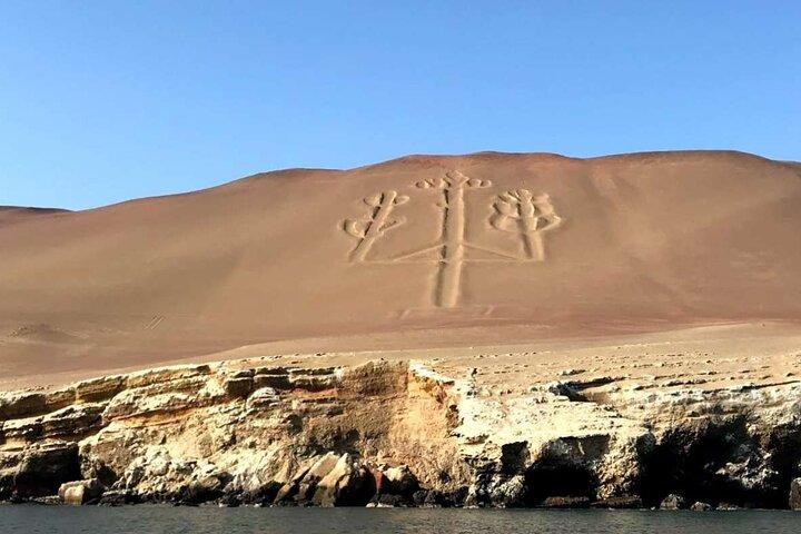 Ballestas Islands Tour by Boat for Cruise Travelers