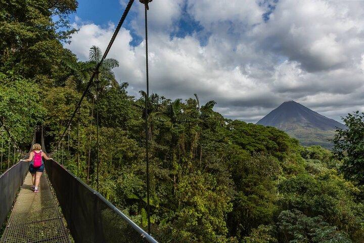 Hanging Bridges & Arenal Volcano with Lunch and Hotsprings
