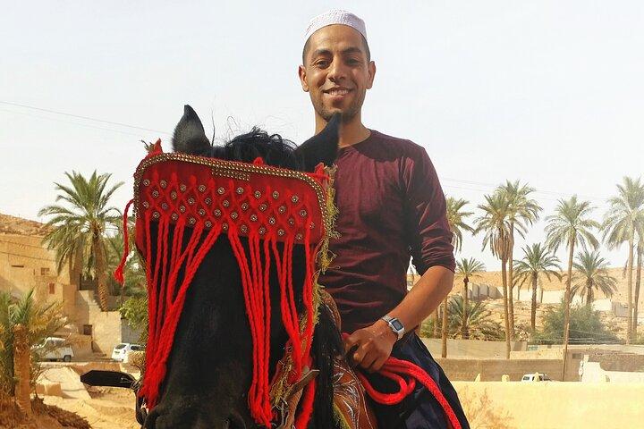 Private Driver-Accompanist 2 days in Ghardaïa