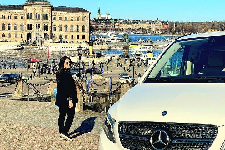 Private Stockholm City Tour by VIP car Vasa and Skansen museum