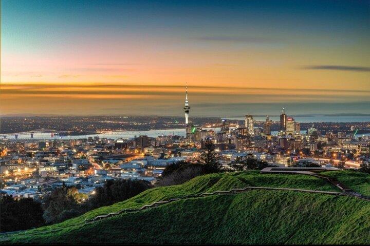 Auckland City Highlights Half Day Tour