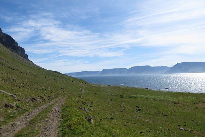 Private Tour in Westfjords Iceland