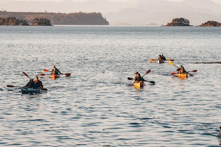 Half-Day Guided Sea Kayaking Adventure in Telegraph Cove
