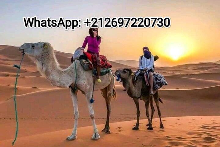 Merzouga Desert Campsite &Camel Excursions
