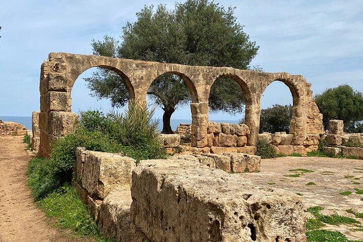 Private Day Tour to the Roman Ruins of Tipaza