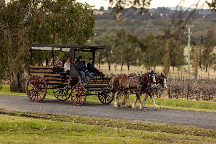  3- Hour Wine and Harvest the Hunter Horse Tour in Pokolbin