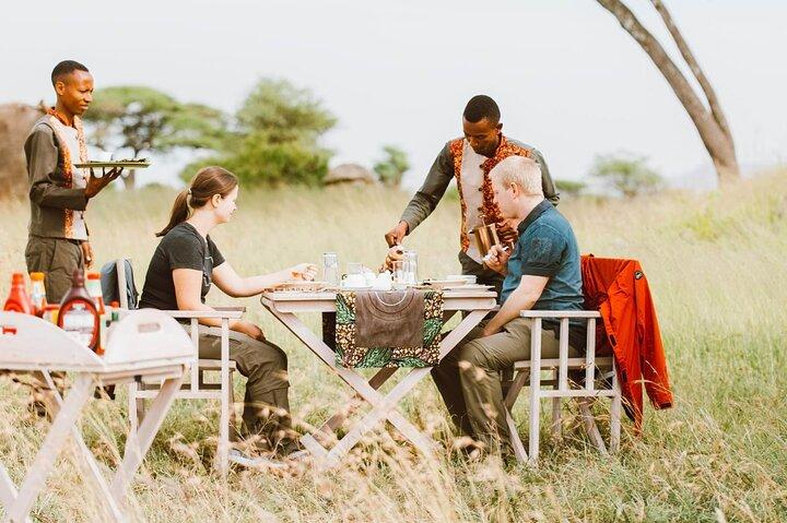 Bush Lunch in the Wild in Serengeti & Tarangire National Parks