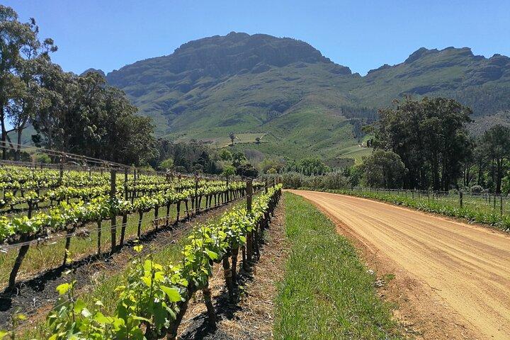 Greatest Private Tours of the Cape Winelands 