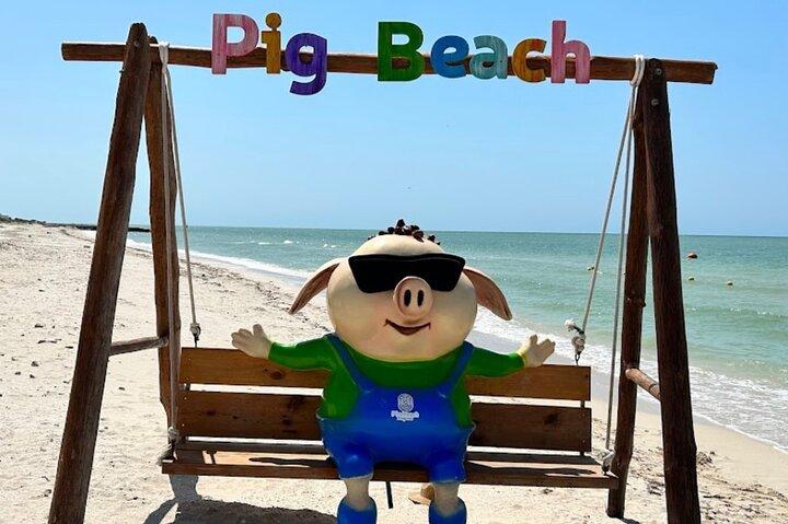 Progreso City Tour, Pig Beach and Sergio´s Beach House