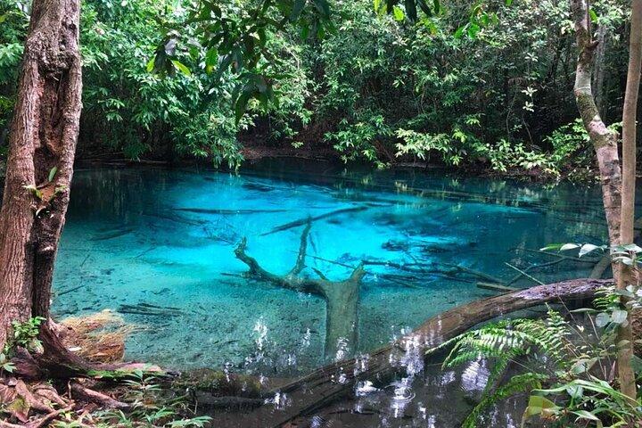 Emerald Pool: Jungle Tour, Private Full Day with Lunch