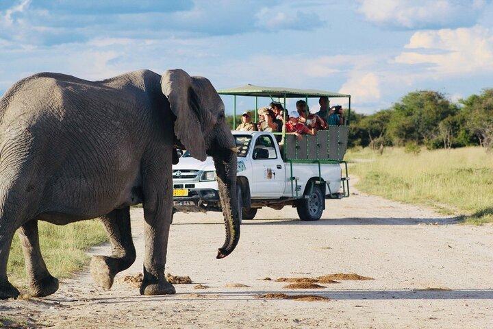 Safari in Etosha national park with professional tour guides born in Etosha.