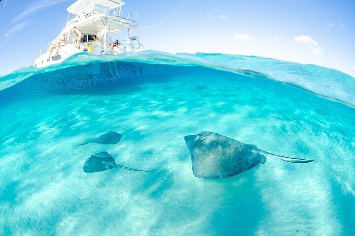 Grand Cayman Reef & Stingray City Snorkeling Adventure