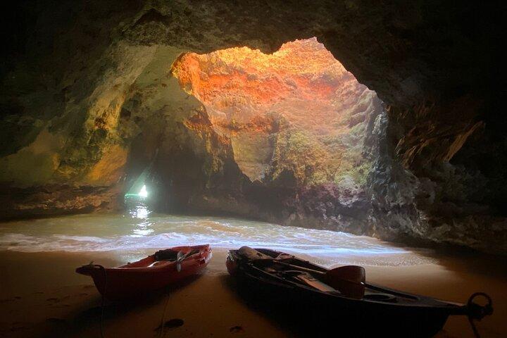 Kayak Tours with Amazing Caves, sea life and Marine Biologist .