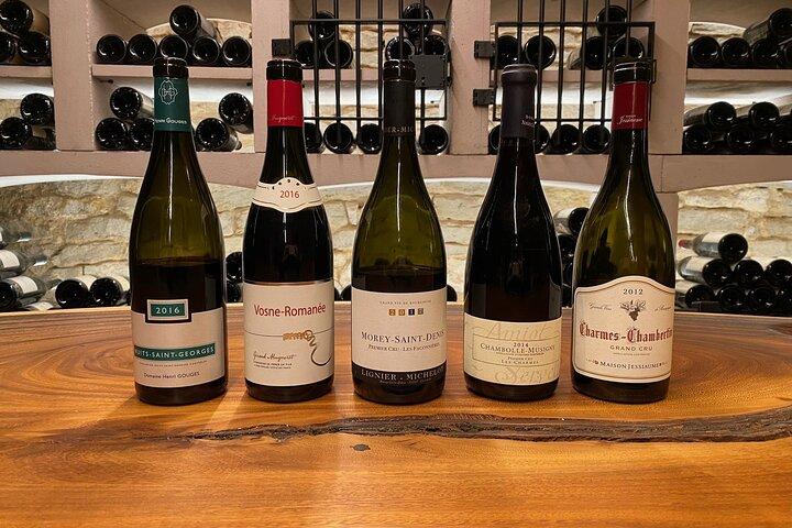 Private Tasting of the 5 Villages of the Côte de Nuits