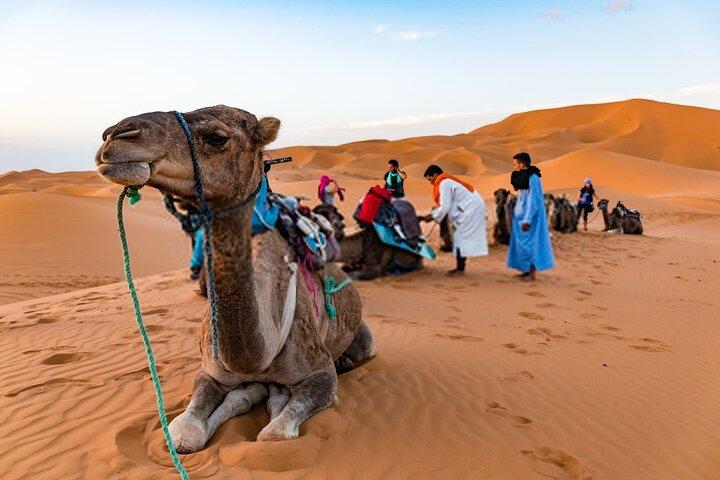 Ouarzazate To Erg Chegaga Dunes & Camel treks in 2 Days 